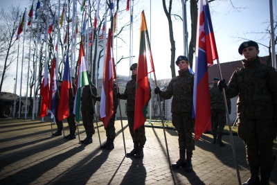 Żołnierski stoją na apelu z flagami państwowymi