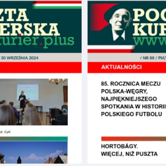 wstrzymanie newslettera